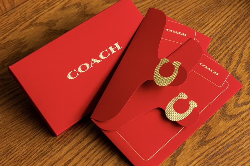 Year of the Snake 2025 luxury Red Packets cny lunar new year